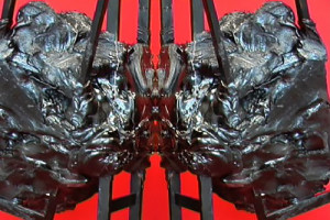 Jane Fox Getting Ready Never Ready Ever Ready Artist Film Lo