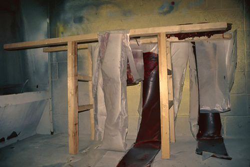 Storage Jane Fox RCA
