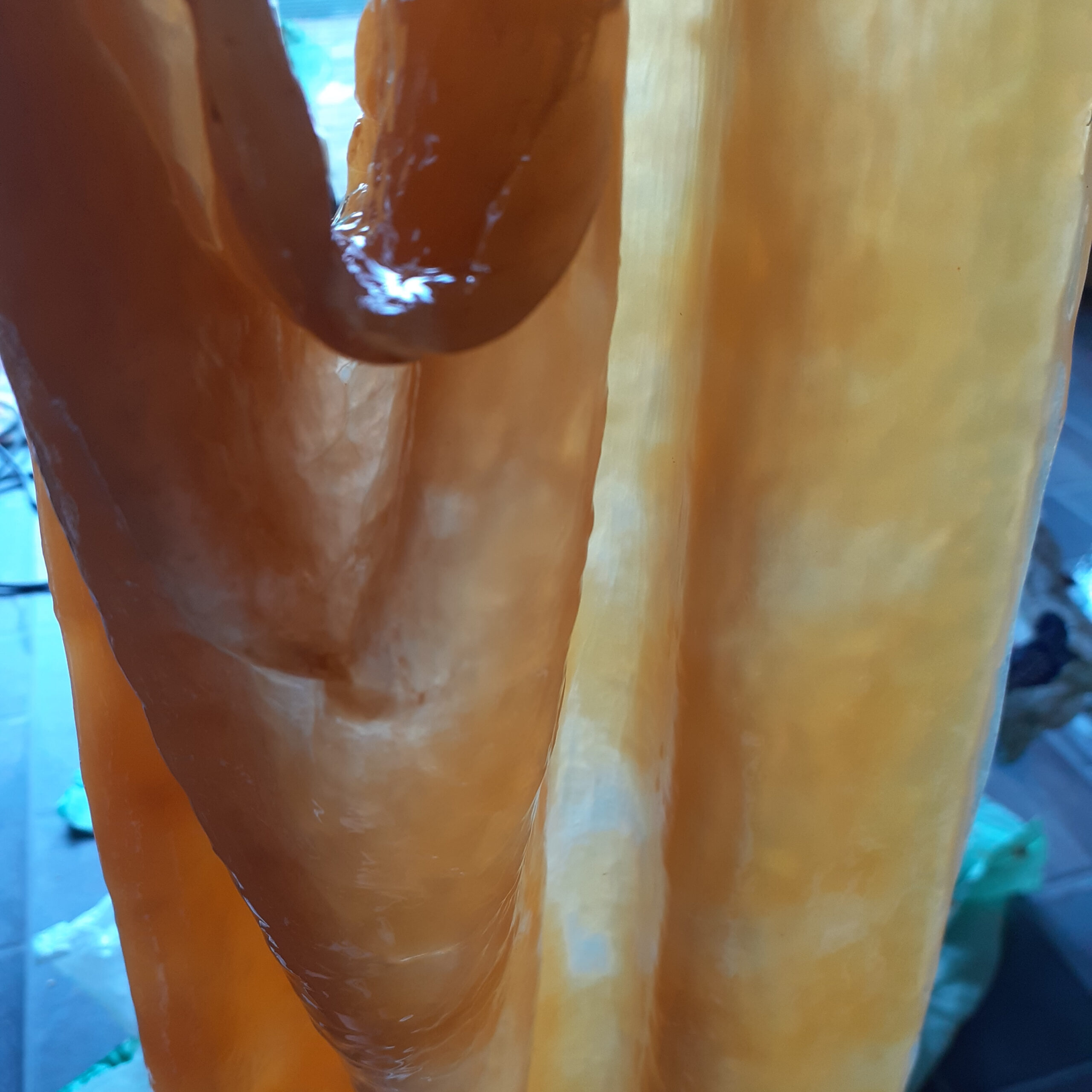 Probiotic Microbial Cellulose (Raw M