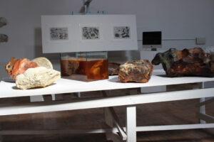 Probiotic Fossils - tiny builders of the natural world